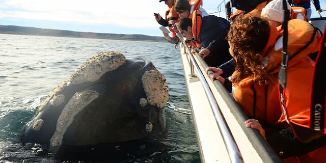 PTO MADRYN